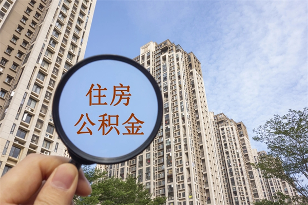 高唐怎么取住房住房公积金（取住房公积金方法）